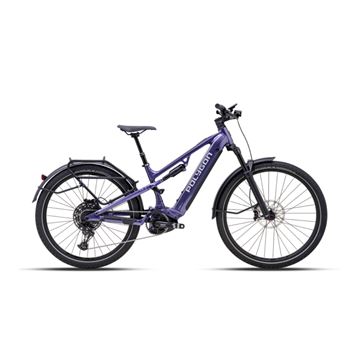 Picture of POLYGON SISKIU HE-P EU PURPLE 1x12 29